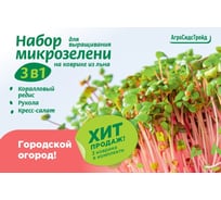 Набор для выращивания микрозелени 3 в 1 Агросидстрейд Коралловый редис, Рукола, Кресс-салат АСТ 124936