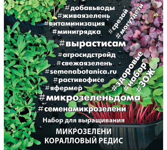 Набор для выращивания микрозелени Агросидстрейд Коралловый редис 5.5 г АСТ 123037 1