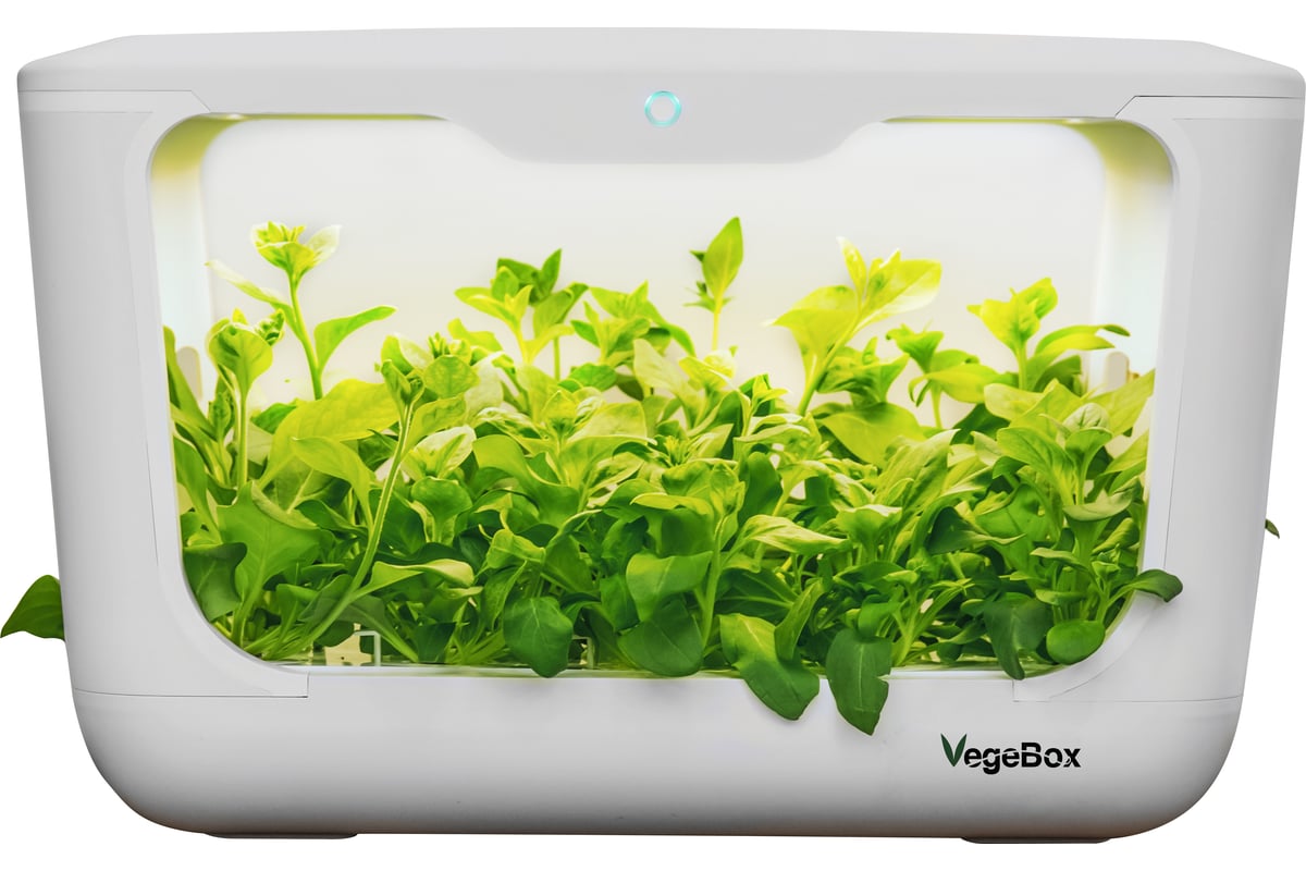 Домашняя садовая ферма Vegebox L-Box белая 15 посадочных мест LBOX -  выгодная цена, отзывы, характеристики, фото - купить в Москве и РФ