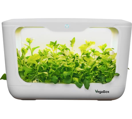 Домашняя садовая ферма Vegebox L-Box белая 15 посадочных мест LBOX