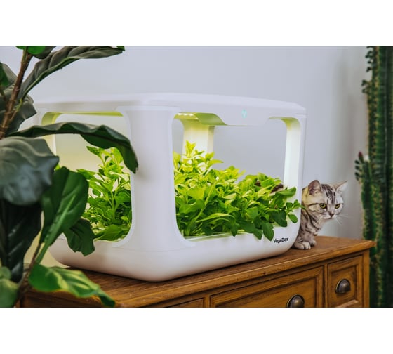 Домашняя садовая ферма Vegebox L-Box белая 15 посадочных мест LBOX