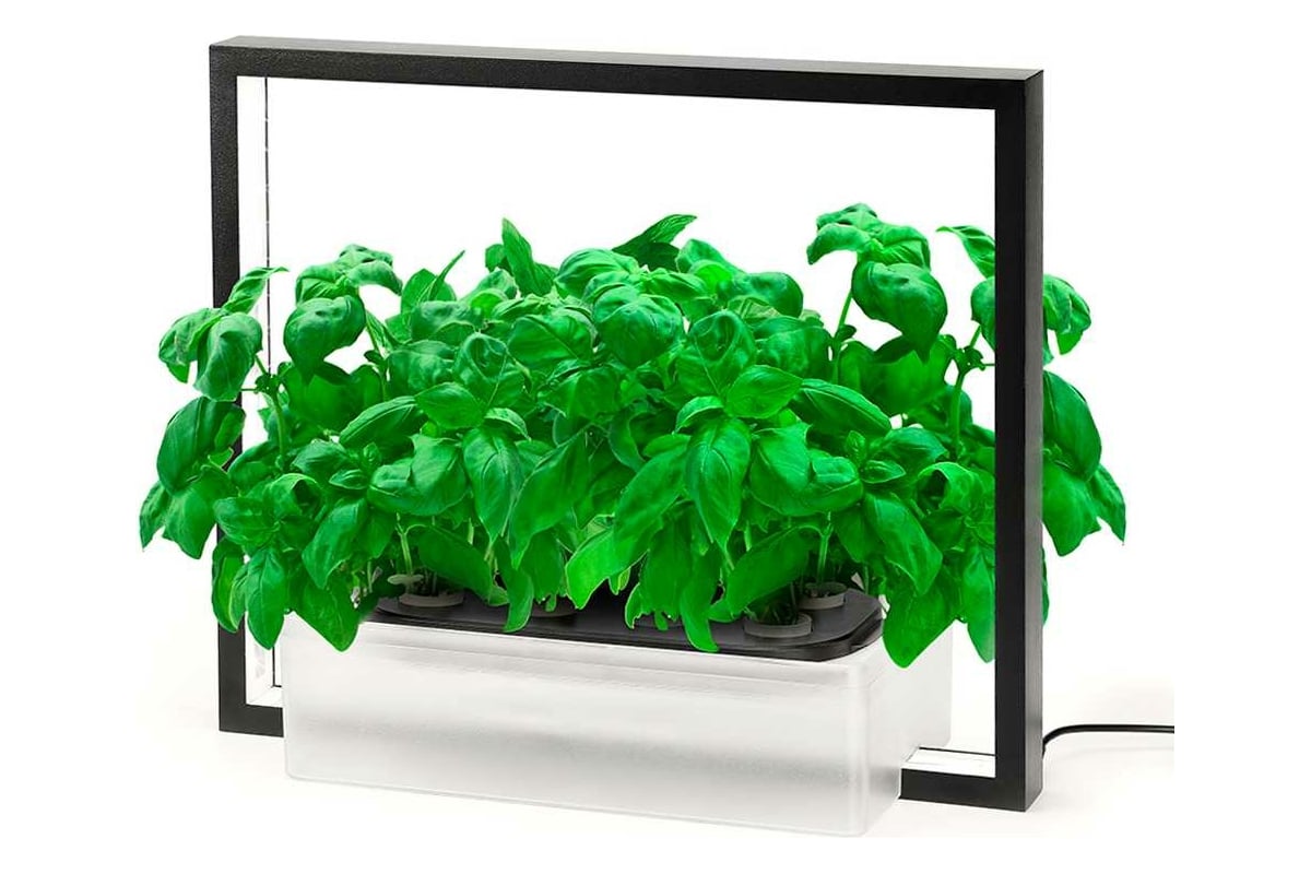 Настольная садовая ферма Vegebox V-Frame черная 8 посадочных мест Vframe-B  - выгодная цена, отзывы, характеристики, фото - купить в Москве и РФ