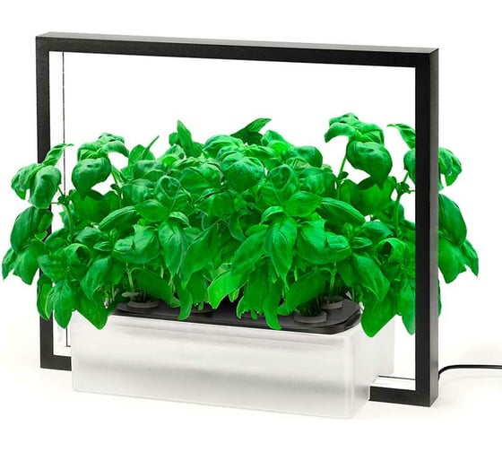 Настольная садовая ферма Vegebox V-Frame черная 8 посадочных мест Vframe-B 1
