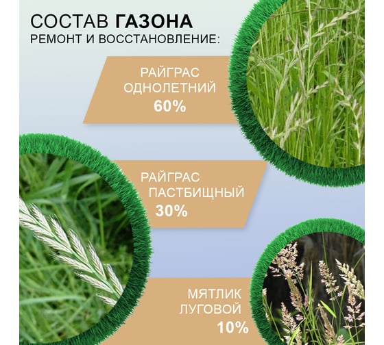 Семена газона Мираторг Ремонт и восстановление 0.3 кг 1010024796