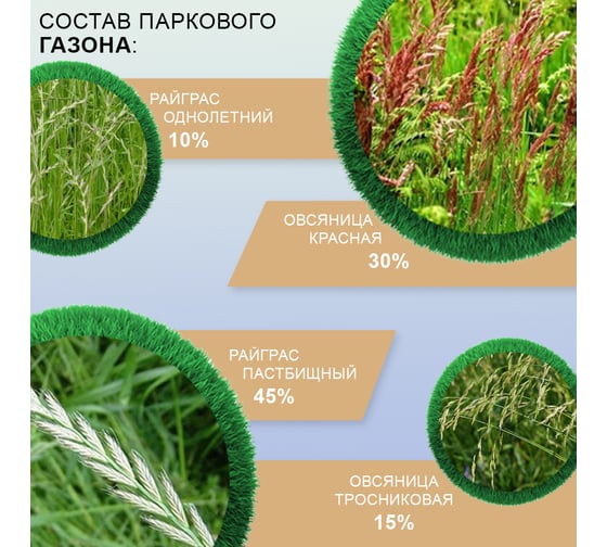 Семена газона Мираторг Парковый газон 5 кг 1010024855