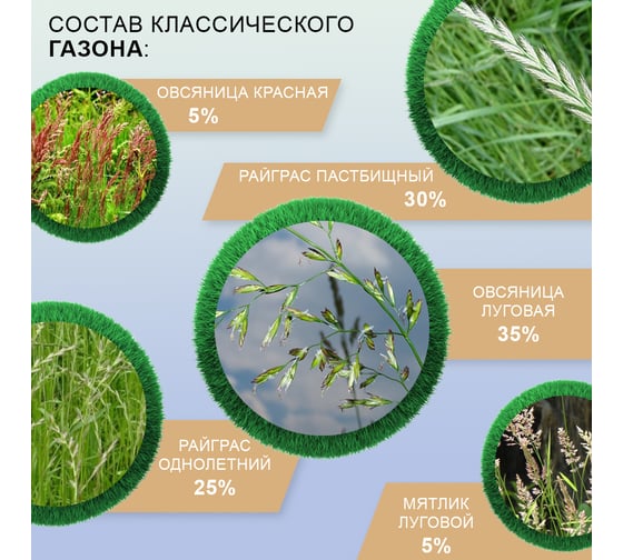Семена газона Мираторг Классический газон 1 кг 1010024669