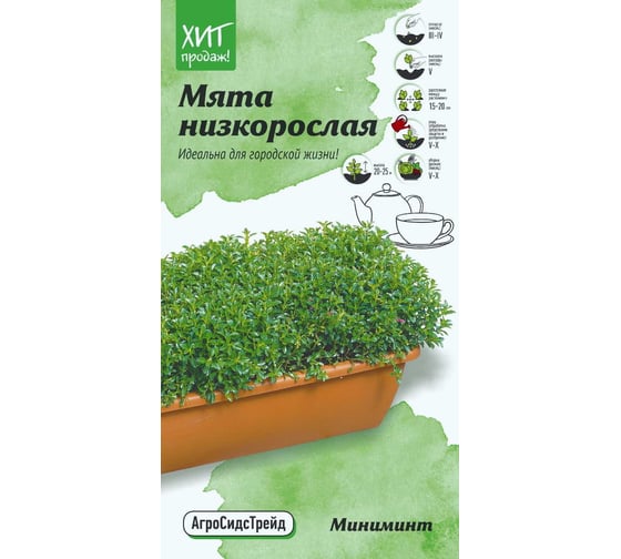 Семена Агросидстрейд Мята для выращивания в контейнере Мини минт 3 шт. АСТ 122824 1