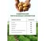 Удобрение для картофеля Сила Суздаля 5 кг 4630249444936 7
