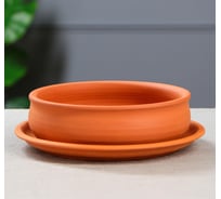 Горшок для кактусов и суккулентов СИМАЛЕНД Бонсайница 20 см, 1.2 л 5162998