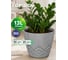 Горшок цветочный Prosperplast Areco Beton Effect 300E (12,8л), серый бетон DARE300E-422U 2