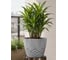 Горшок цветочный Prosperplast Areco Beton Effect 300E (12,8л), серый бетон DARE300E-422U 9