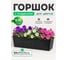 Горшок цветочный Prosperplast Ratolla Case P 600 (9,9л) балконный с поддоном, антрацит ISR600P-S433 2