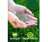 Газонная травосмесь ABSOLUTE GREEN Абсолют Спорт 500 г 00000000467 4