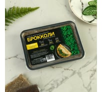 Набор для выращивания микрозелени СИМАЛЕНД Брокколи 7304218