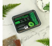 Набор для выращивания микрозелени СИМАЛЕНД Кресс-салат 7304216