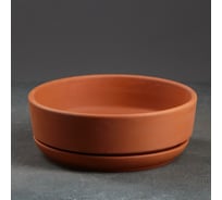 Бонсайница СИМАЛЕНД Огма терракотовая, 2 л 5285604