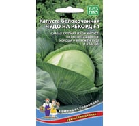 Семена Уральский дачник капуста белокочанная Чудо на рекорд, 0.3г 044300