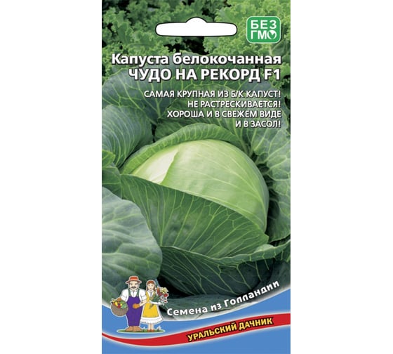 Семена Уральский дачник капуста белокочанная Чудо на рекорд, 0.3г 044300