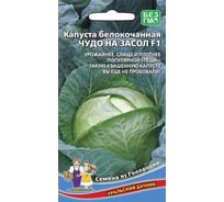 Семена Уральский дачник капуста белокочанная Чудо на засол, 0.3г 044299