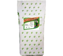 Семена газонной травы Абсолют Грин Детская площадка 10 кг 487 4627129770025