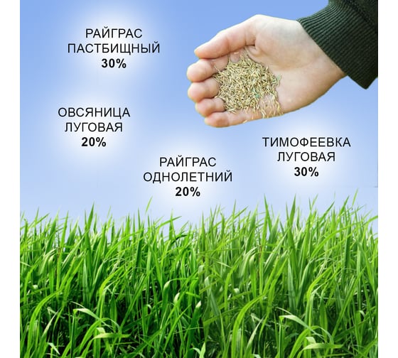 Семена газона Зри в корень Универсальный 0.8 кг 1010026125