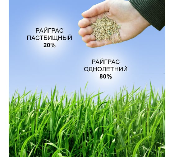 Семена газона Зри в корень СуперЭкспресс 0.8 кг 1010026140