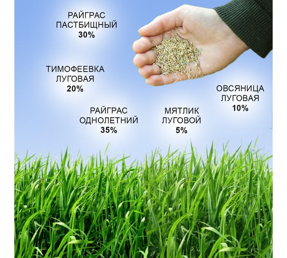 Семена газона Зри в корень Спортивный 0.8 кг 1010026126