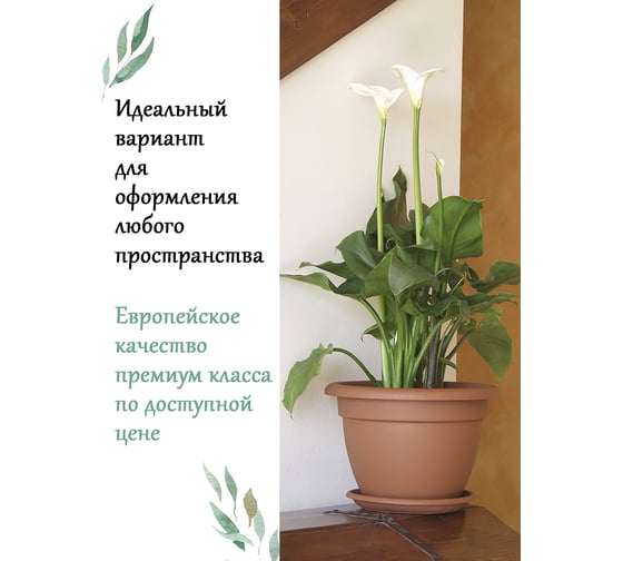 Горшок Teraplast CAMPANA диам. 20 см, высота 13.8 см, коричневый 01002020001