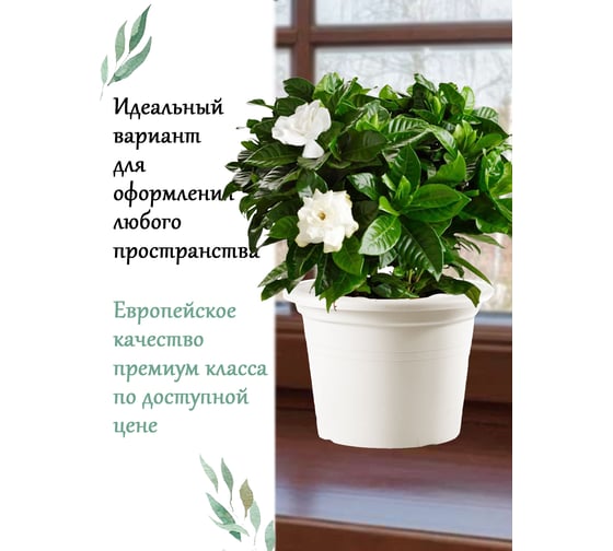 Горшок Teraplast CILINDRO диам. 20 см, высота 14.2 см, белый 01001020022