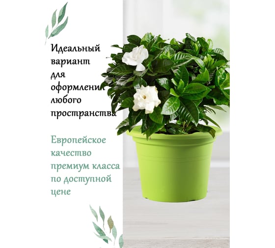 Горшок Teraplast CILINDRO диам. 35 см, высота 24.6 см, зеленый 01001035007