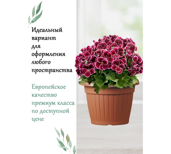 Горшок Teraplast COSTE диам. 35 см, высота 25.7 см, коричневый 01003035001