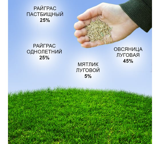 Семена газона Зри в корень Медленнорастущий 10 кг 4650243008842