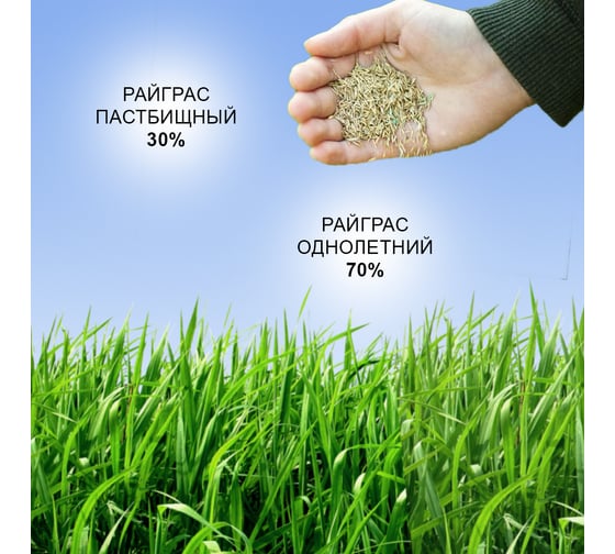 Семена газона Зри в корень СуперЭкспресс 10 кг 4650243008859