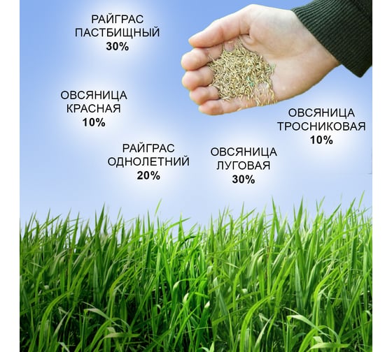 Семена газона Зри в корень Теневыносливый 10 кг 4650243008835