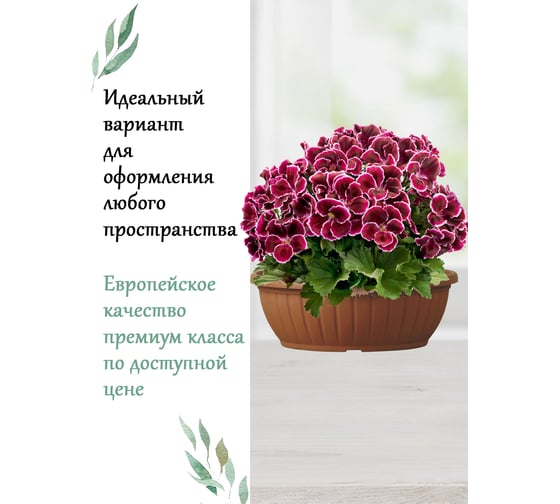 Чаша Teraplast CIOTOLA COSTE диам. 30 см, высота 11 см, коричневая 01010030001