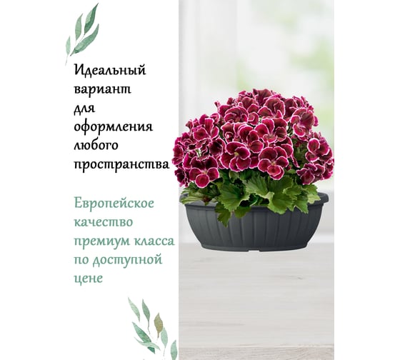 Чаша Teraplast CIOTOLA COSTE диам. 30 см, высота 11 см, темно-серая 01010030005
