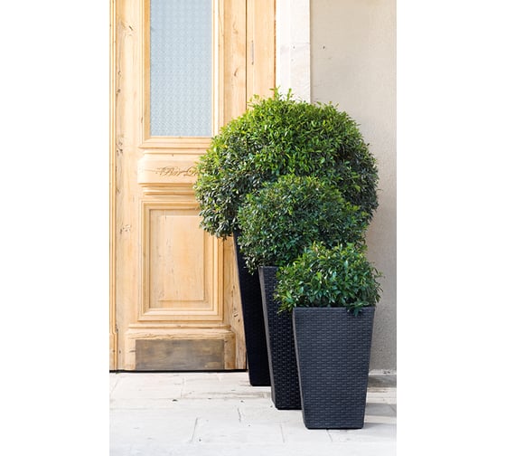 Кашпо Keter Rattan Planter M коричневый 228975