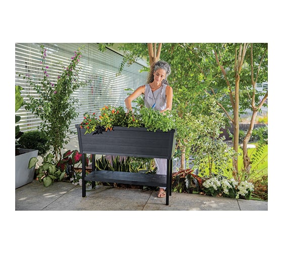 Кашпо-грядка для растений Keter Urban Bloomer XL 242856