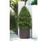 Кашпо Keter CUBE PLANTER L, 50.5 л, коричневый 229533 5