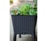 Грядка для растений Keter EASY GROW антрацит 230298 2
