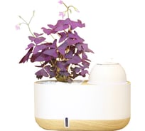 Интеллектуальный цветочный горшок с увлажнителем воздуха и автополивом Green Helper GZ301