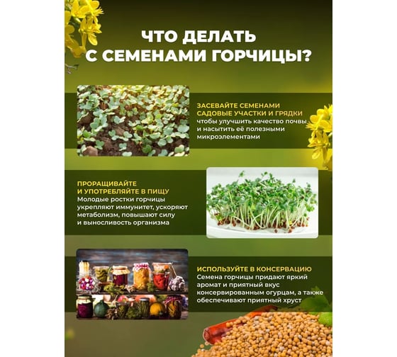 Семена горчицы Сила Суздаля 5 кг 4680004064213