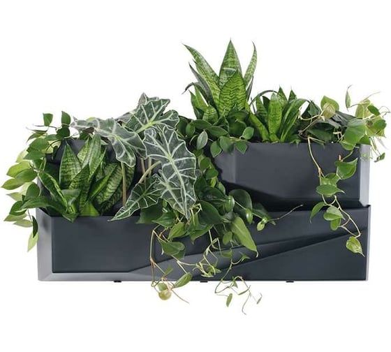 Вертикальный сад Prosperplast IO3W800 S433 CASCADE GARDEN 2 ячейки, 19 см, 78 см, антрацит 067052
