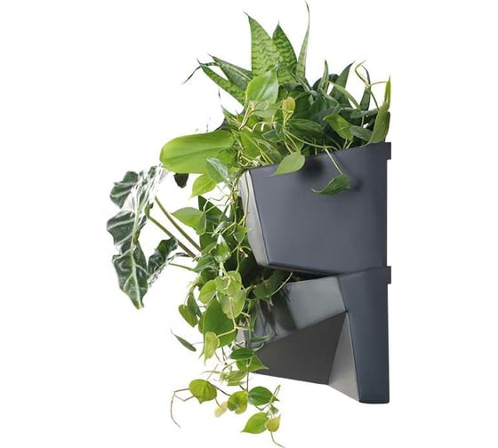 Вертикальный сад Prosperplast IO3W800 S433 CASCADE GARDEN 2 ячейки, 19 см, 78 см, антрацит 067052