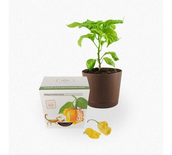 Набор для выращивания растений Plant Republic Перец острый Тринидад Скорпион Желтый pr-005
