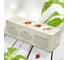 Набор для выращивания растений Plant Republic Три острых перца pr-009 2