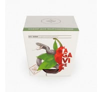 Набор для выращивания растений Plant Republic Перец острый Нага Вайпер pr-003