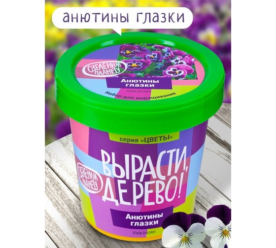 Набор для выращивания растений Вырасти,Дерево! Анютины глазки zk-124