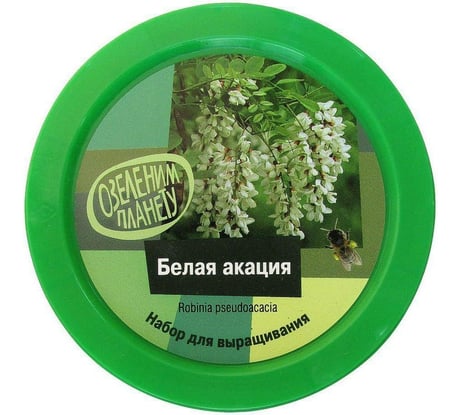 Набор для выращивания растений Вырасти,Дерево! Белая акация zk-076
