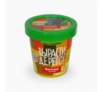 Набор для выращивания растений Вырасти,Дерево! Виноград зимостойкий Амурский zk-057
